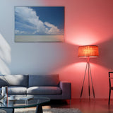 Smart Color Light Bulb, 75W Equivalent, Requires 2.4 GHz Wi-Fi